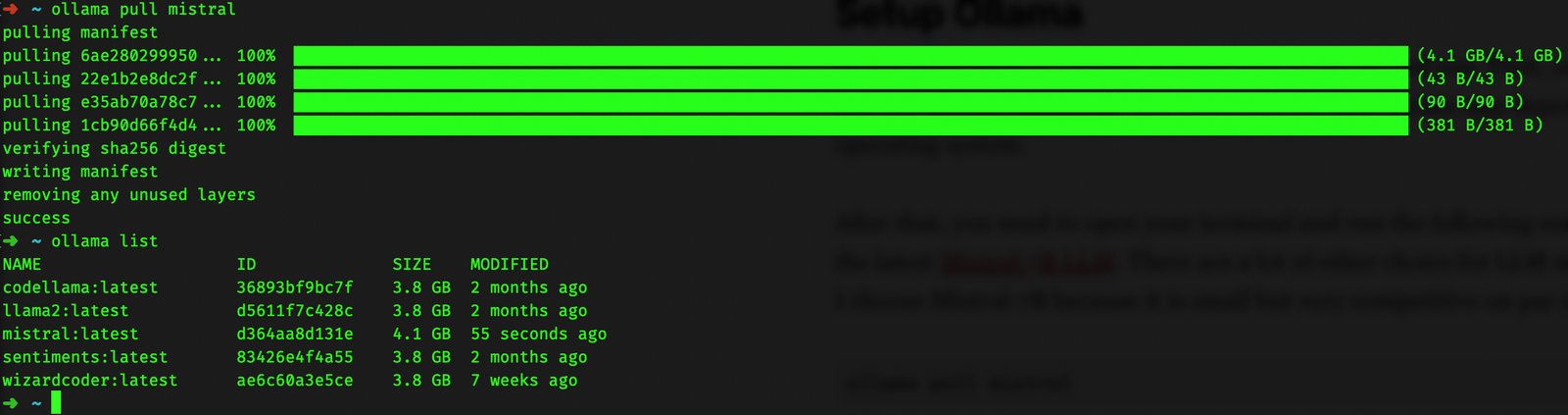 Build your own RAG and run it locally: Langchain + Ollama + Streamlit